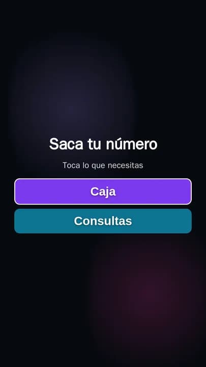 Tótem vertical «Saca tu número» con un botón por fila: Caja y Consultas
